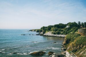 trees-near-ocean-in-newport